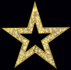 2D Regal Star, Warm White LED