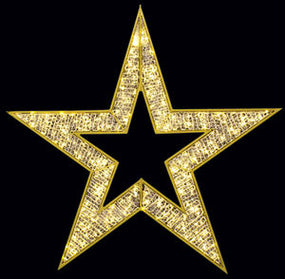 2D Regal Star, Warm White LED