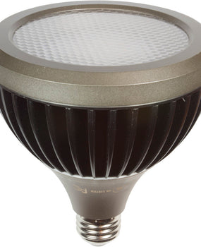 Brilliance LED PAR38 Lamp