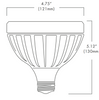 Brilliance LED PAR38 Lamp