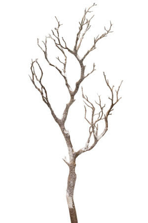 Snowy Wood Branches 29" x 20" Set of 2