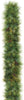 Bristle Pine Garland - 10' Sections (lit or unlit)