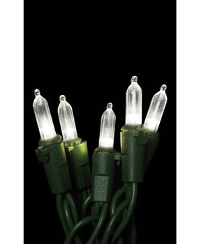 LED M6 Clear (glass) Mini Lights, 50 bulbs 6" spacing