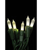 LED M6 Clear (glass) Mini Lights, 50 bulbs 6" spacing