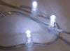 Low Voltage Clip Lighting Roll in Warm or Pure White