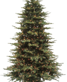 Noble Fir Tree Collection