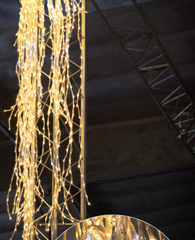 Willow Lights