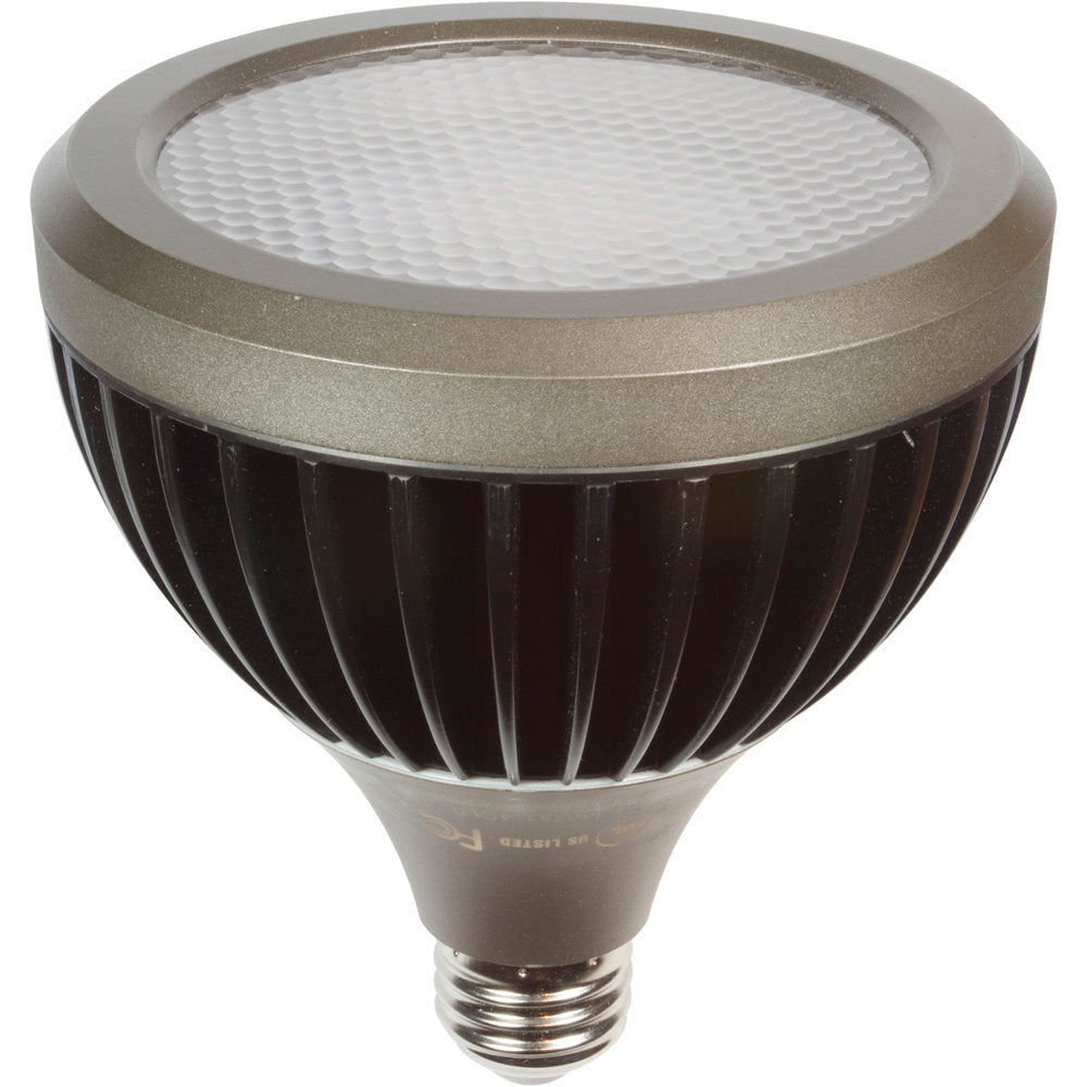 Brilliance LED PAR38 Lamp