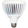 Brilliance LED PAR38 Lamp