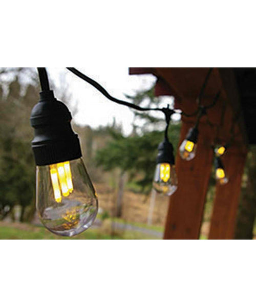 Lamps and Bulbs