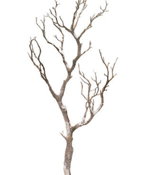 Snowy Wood Branches 29" x 20" Set of 2