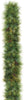 Bristle Pine Garland - 10' Sections (lit or unlit)