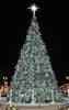 LED Moravian Star Tree Topper