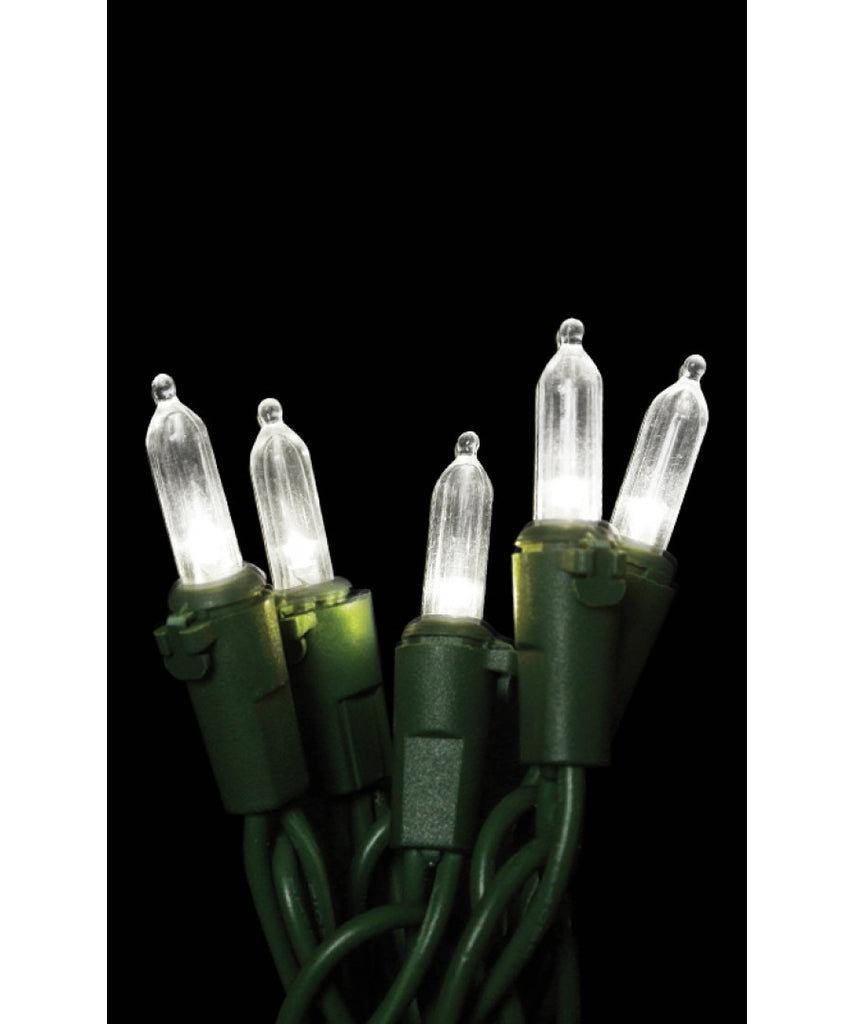 LED M6 Clear (glass) Mini Lights, 50 bulbs 6" spacing