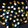 Champagne LED Mini Lights, 5MM Reflective, 6x6x6" sp, Green Wire (50 Bulbs)