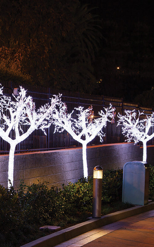 Acrylic Acacia Tree Medium with LED