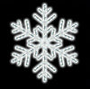 LED Ropelight Snowflakes with White Lights